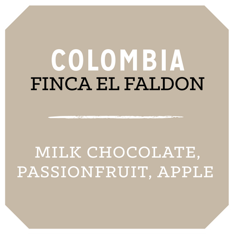 Colombia Finca El Faldon