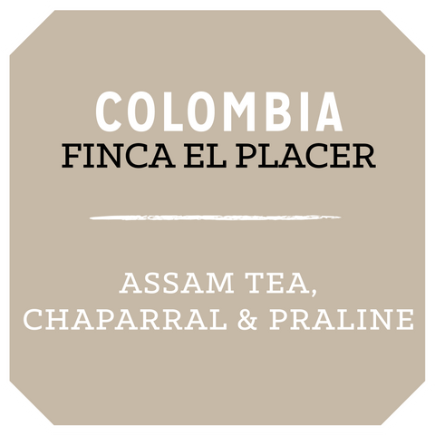 Colombia Finca El Placer