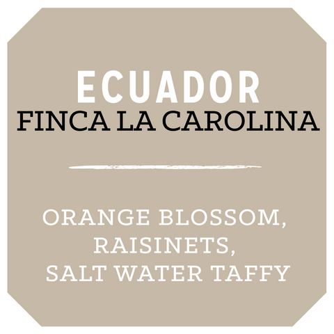Ecuador Finca La Carolina