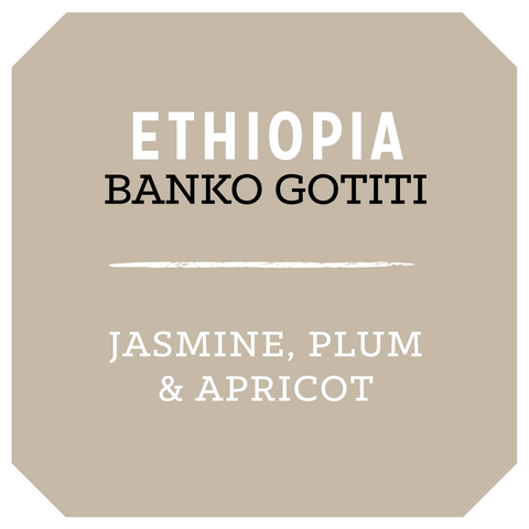 Ethiopia Banko Gotiti
