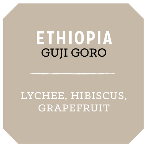Ethiopia Guji Goro Habtamu