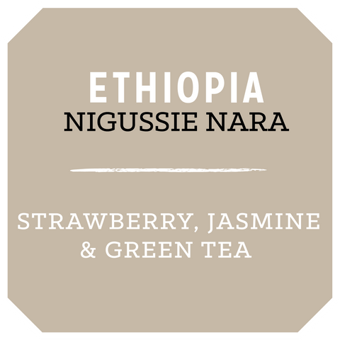 Ethiopia Nigussie Nara Ataro