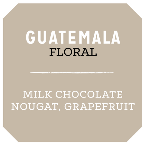 Guatemala Floral '24