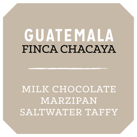 Guatemala Finca Chacaya