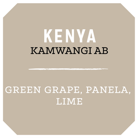 Kenya Kamwangi AB