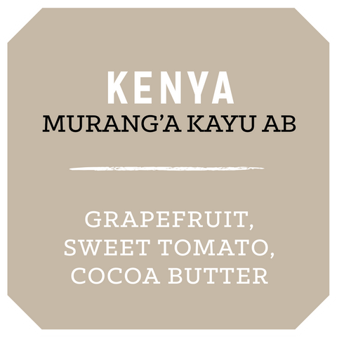 Kenya Murang’a Kayu AB