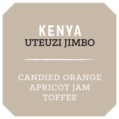 Kenya Uteuzi Jimbo