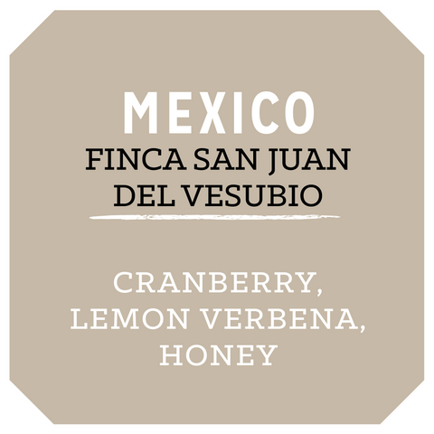 Mexico Finca San Juan del Vesubio