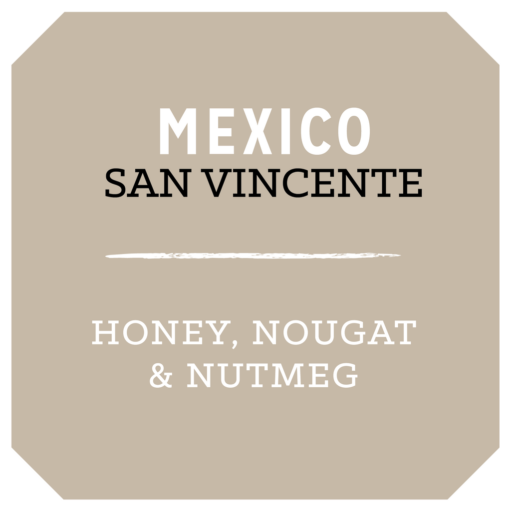 Mexico San Vicente