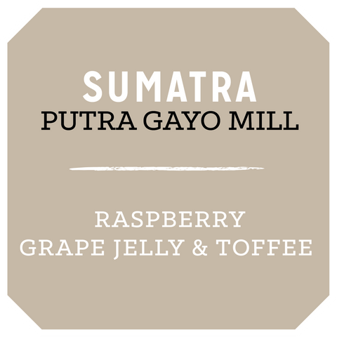 Sumatra Putra Gayo