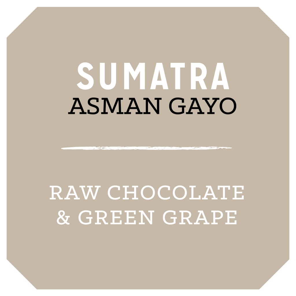 Sumatra Asman Gayo