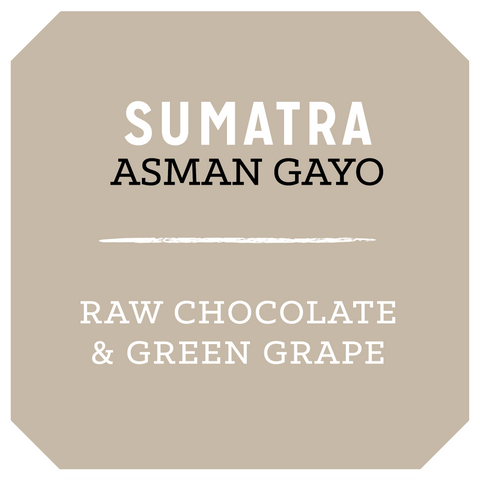 Sumatra Asman Gayo