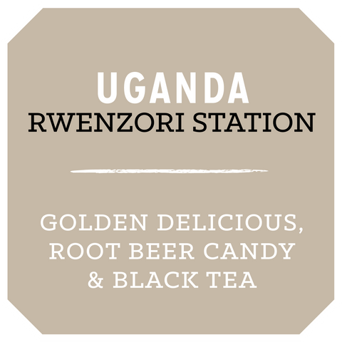 Uganda Rwenzori Station