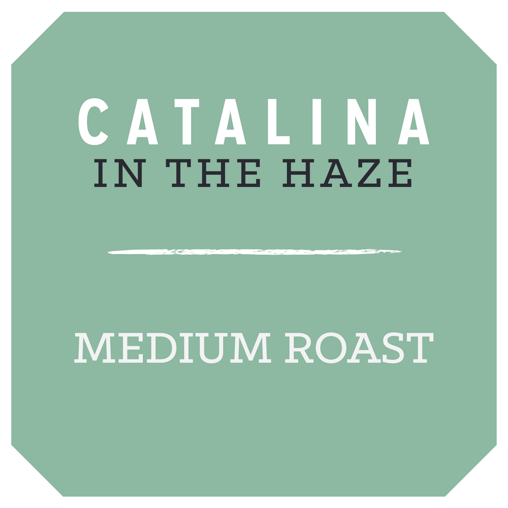 Catalina in the Haze